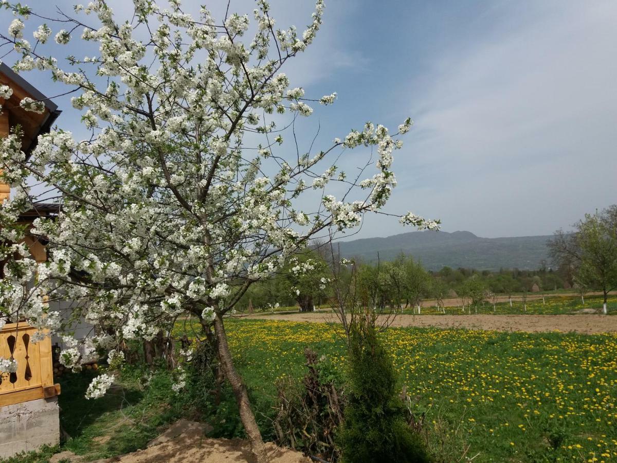 Casa Maramureseana Larisa Country house